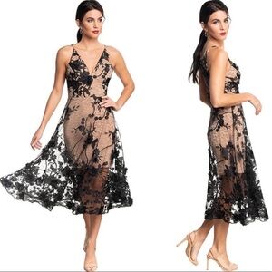 Dress the Population Audrey‎ Sheer Floral Overlay A-Line Sleeveless V-Neck XS